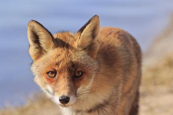 �����ƾ߶ľ���Ƶ���������Ǽ������������ճ�̨ ��ɷ�������...